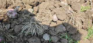 구춘봉님의 작성글 사진