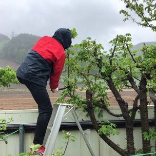 알 수 없음님의 자유주제 · 자유게시판 작성글 사진