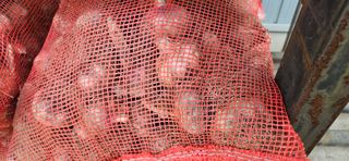 구춘봉님의 작성글 사진