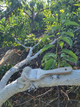 김용대님의 자유주제 · 자유게시판 작성글 사진