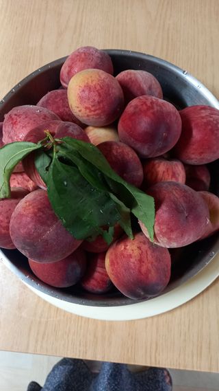 마에스타님의 자유주제 · 자유게시판 작성글 사진