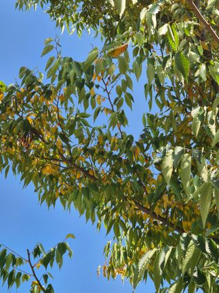 안태수님의 자유주제 · 자유게시판 작성글 사진