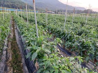 이정민님의 자유주제 · 자유게시판 작성글 사진