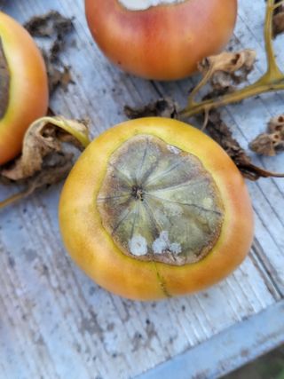 조상희님의 자유주제 · 자유게시판 작성글 사진