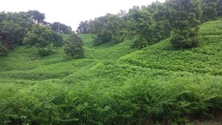 알 수 없음님의 자유주제 · 자유게시판 작성글 사진