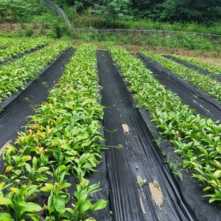 이종권님의 자유주제 · 자유게시판 작성글 사진