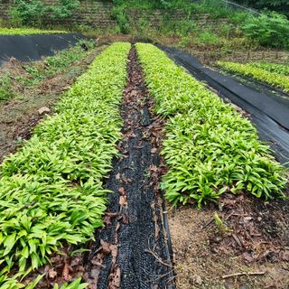 이종권님의 자유주제 · 자유게시판 작성글 사진