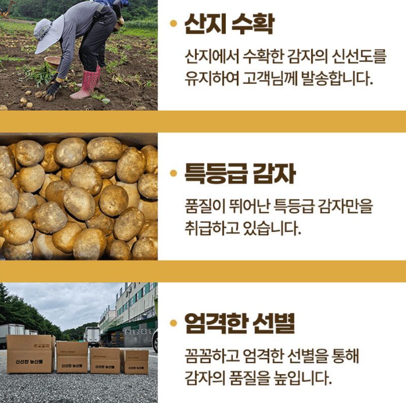 스피드번님의 장터 판매 상품 [두백감자] 첨부 사진