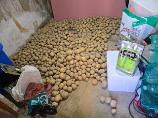 희상님의 자유주제 · 자유게시판 작성글 사진