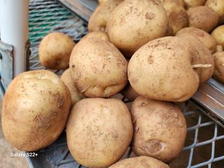 송아지님의 작성글 사진