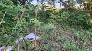 수기님의 자유주제 · 자유게시판 작성글 사진