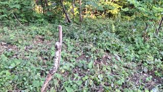 수기님의 자유주제 · 자유게시판 작성글 사진