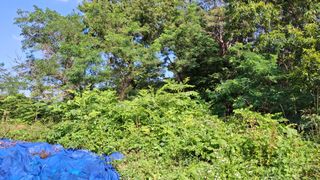 수기님의 자유주제 · 자유게시판 작성글 사진