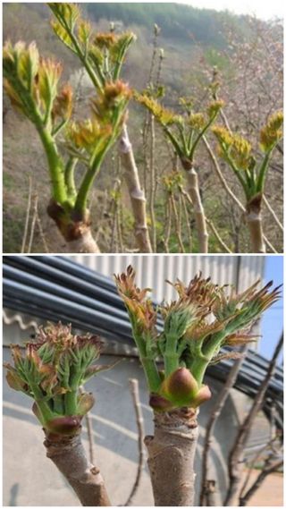 알 수 없음님의 자유주제 · 자유게시판 작성글 사진