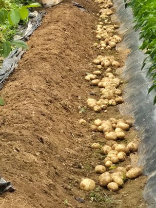 자옥마님님의 자유주제 · 칭찬해요 작성글 사진