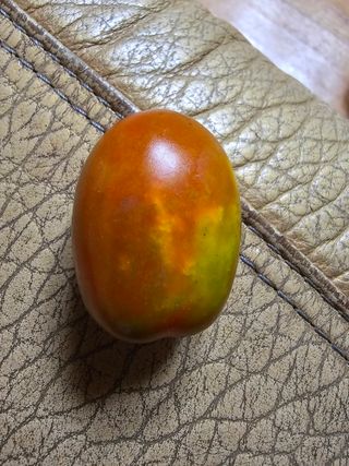 화산농부님의 자유주제 · 자유게시판 작성글 사진