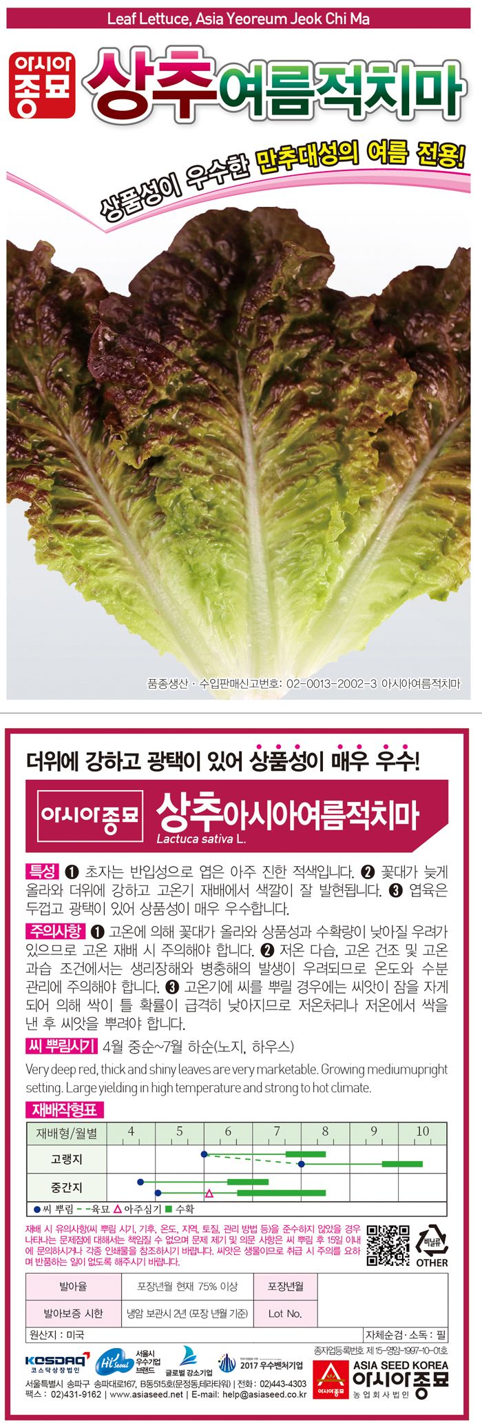 주주씨앗님의 장터 판매 상품 [여름적치마 3000립 상추씨앗 적상추 여름상추 쌈채소] 첨부 사진