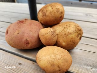 송아지님의 작성글 사진