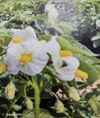 송아지님의 작성글 사진