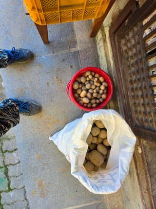 희상님의 자유주제 · 자유게시판 작성글 사진