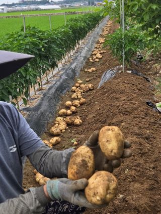 자옥마님님의 자유주제 · 칭찬해요 작성글 사진