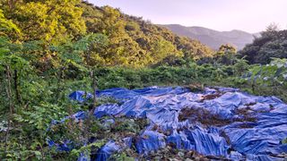수기님의 자유주제 · 자유게시판 작성글 사진