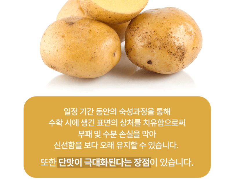 스피드번님의 장터 판매 상품 [두백감자] 첨부 사진