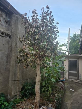 박준호님의 자유주제 · 자유게시판 작성글 사진