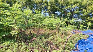 수기님의 자유주제 · 자유게시판 작성글 사진