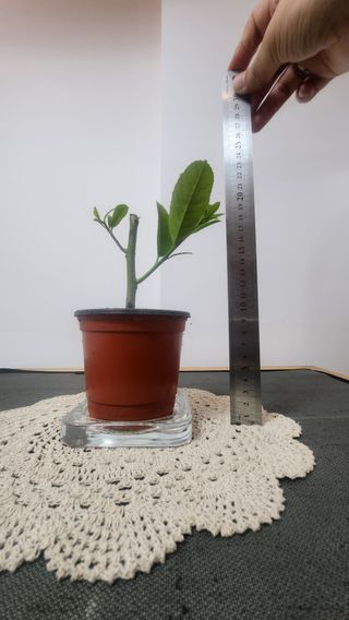 정미리님의 자유주제 · 자유게시판 작성글 사진