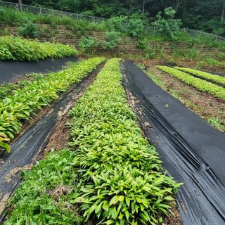 이종권님의 자유주제 · 자유게시판 작성글 사진