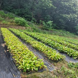 이종권님의 자유주제 · 자유게시판 작성글 사진