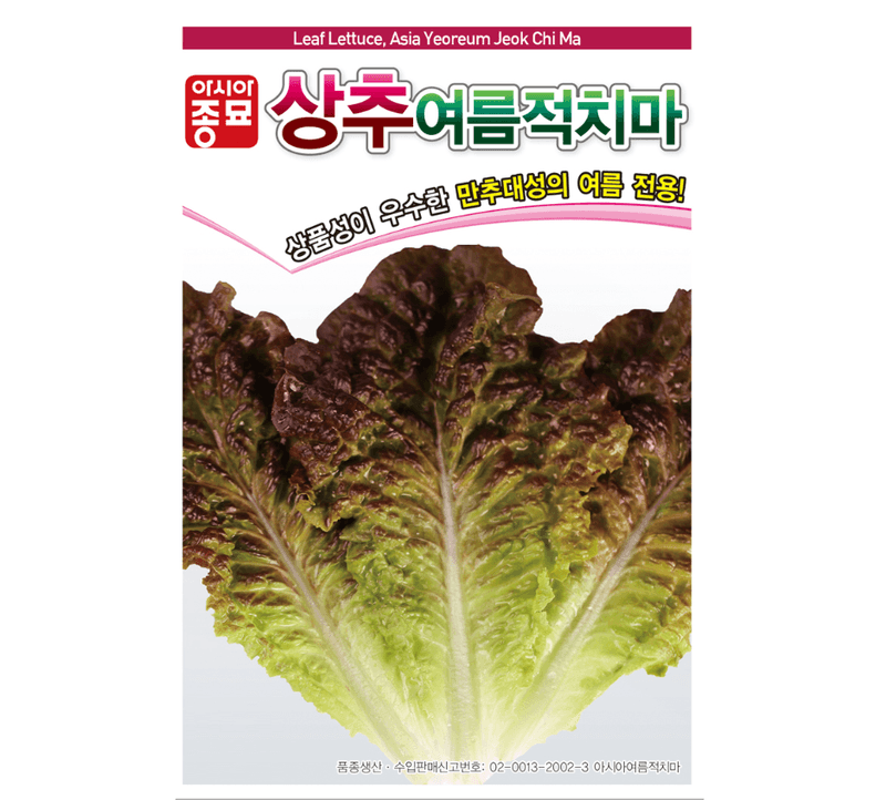 장터 상품 [여름적치마 3000립 상추씨앗 적상추 여름상추 쌈채소] 썸네일