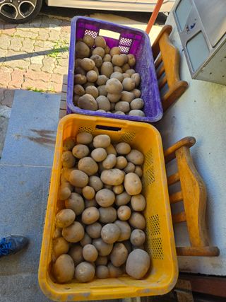 희상님의 자유주제 · 자유게시판 작성글 사진