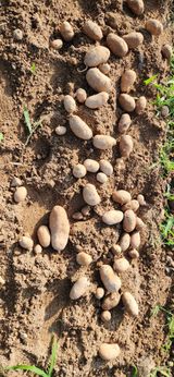 팜모닝 · 게시글 이미지