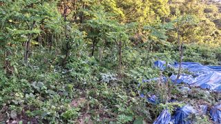 수기님의 자유주제 · 자유게시판 작성글 사진