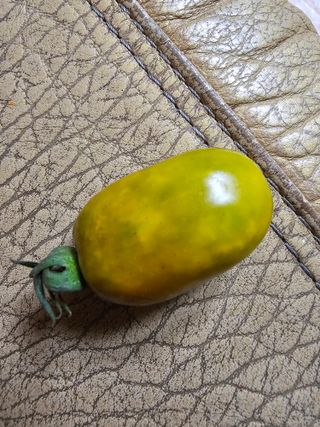 화산농부님의 자유주제 · 자유게시판 작성글 사진