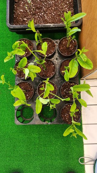 정미리님의 자유주제 · 자유게시판 작성글 사진