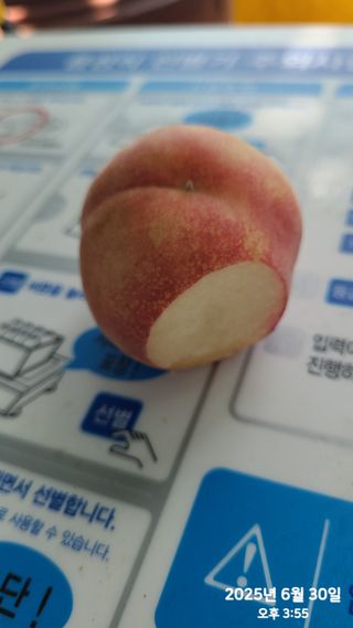 동우농장(김대욱)님의 복숭아 · 자유게시판 작성글 사진