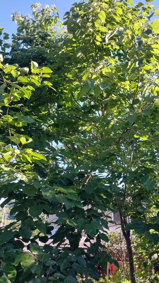 임병훈님의 자유주제 · 자유게시판 작성글 사진