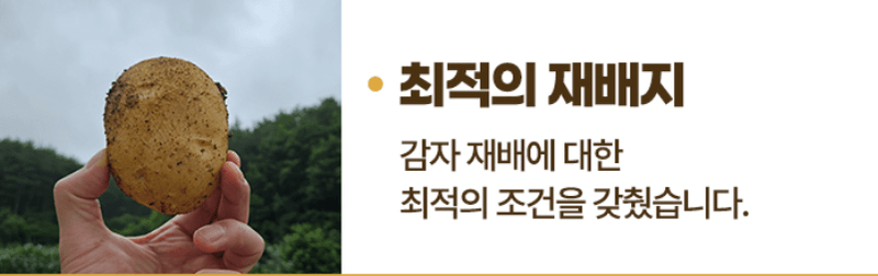 스피드번님의 장터 판매 상품 [두백감자] 첨부 사진