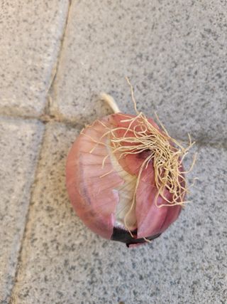 새복애님의 자유주제 · 자유게시판 작성글 사진