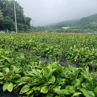 이종권님의 자유주제 · 자유게시판 작성글 사진