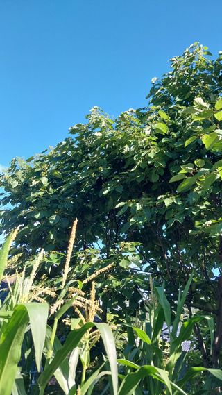 임병훈님의 자유주제 · 자유게시판 작성글 사진