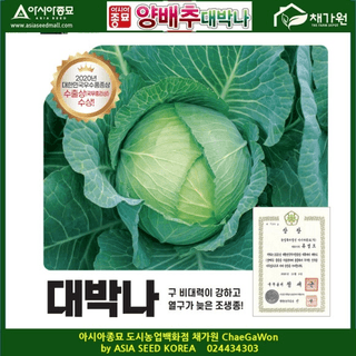 아시아종묘님의 자유주제 · 자유게시판 작성글 사진