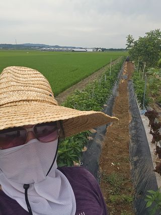 자옥마님님의 자유주제 · 칭찬해요 작성글 사진