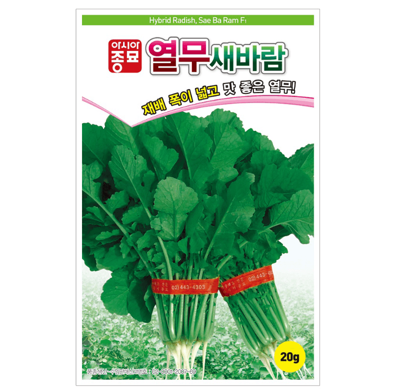 장터 상품 [새바람열무 20g 열무씨앗 열무씨 열무종자] 썸네일