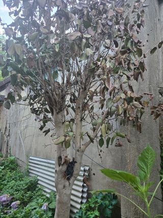 박준호님의 자유주제 · 자유게시판 작성글 사진