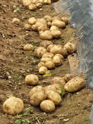자옥마님님의 자유주제 · 칭찬해요 작성글 사진