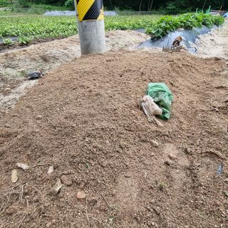 이종권님의 자유주제 · 자유게시판 작성글 사진